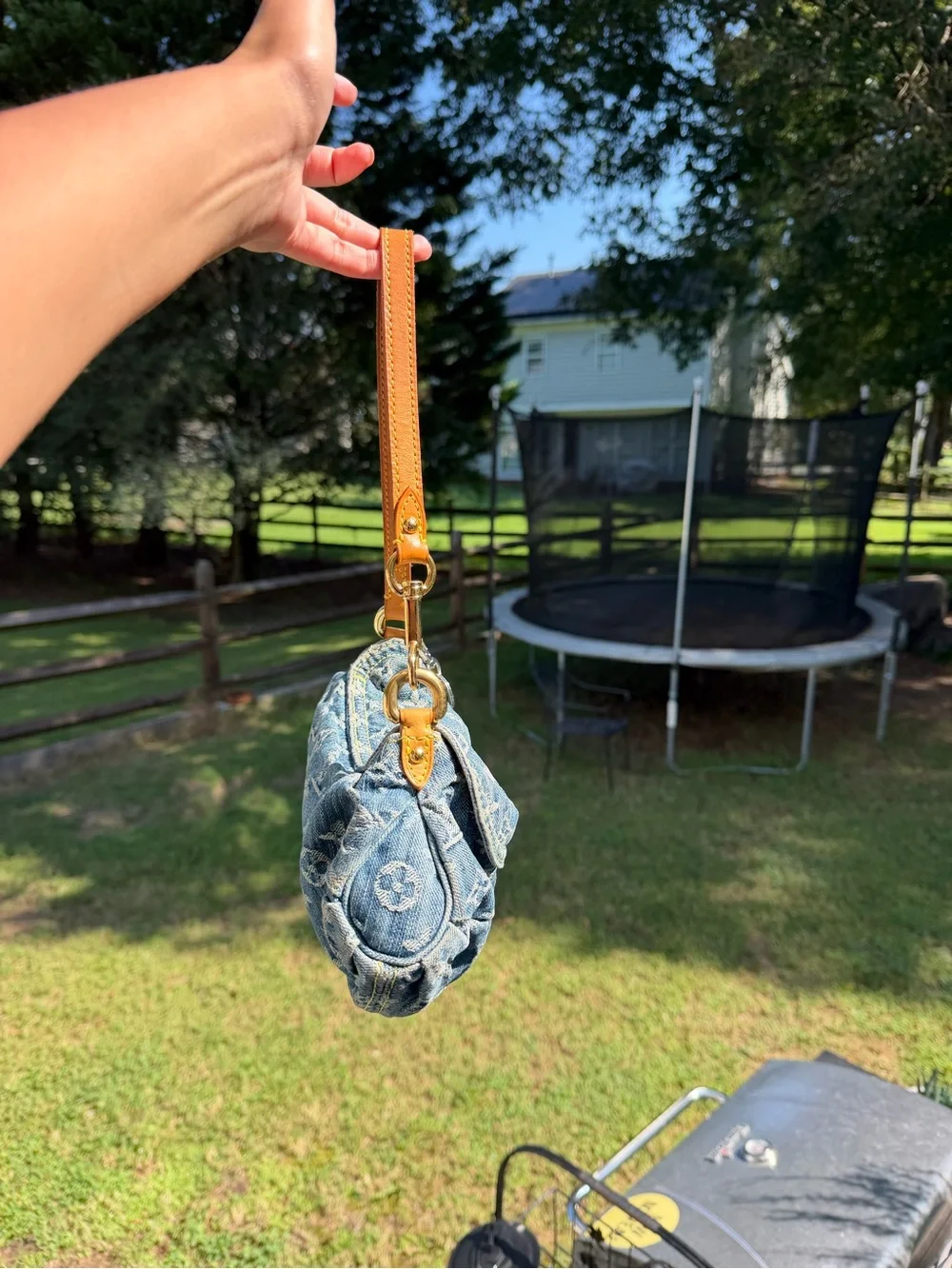 Louis Vuitton monogram pleaty bag